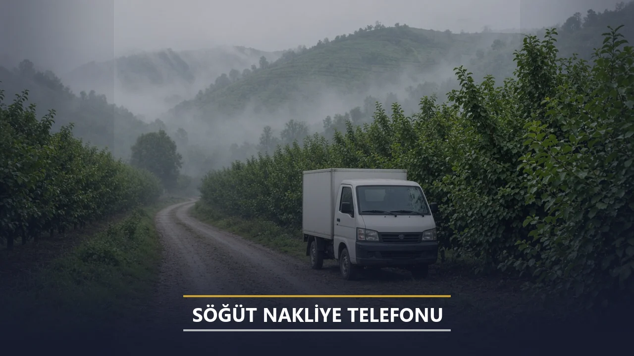 Söğüt Nakliye Telefonu